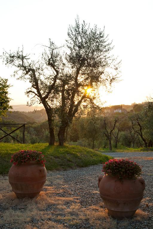 Вілла Agriturismo Cignan Rosso Кастелліна-ін-К'янті Екстер'єр фото