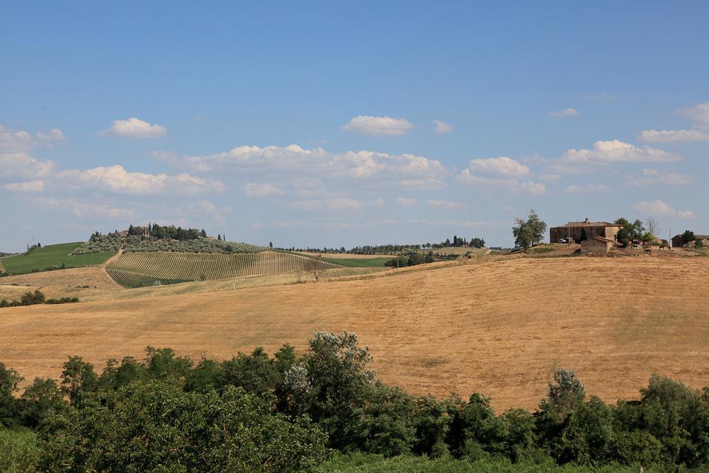 Вілла Agriturismo Cignan Rosso Кастелліна-ін-К'янті Екстер'єр фото
