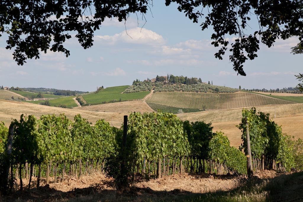 Вілла Agriturismo Cignan Rosso Кастелліна-ін-К'янті Екстер'єр фото